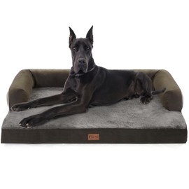 Casa Paw Orthopedic XXL Dog Beds, Waterproof Egg Crate Foam Big Pet Bed for All Breed Sized Dogs 53x42Inch, Washable Extra Large Dog Couch Bed with Removable Cover and Non-Slip Bottom, Dark Green