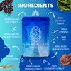 Breathe - Lung Cleanse Supplement with Mullein Leaf Extract for