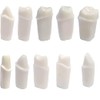 Typodont 200 Prep Crown Teeth 5 Pack for Student Practice Compatible with Nissin Brand Models. (#13 - Pack of 5 Crown prepped Teeth)
