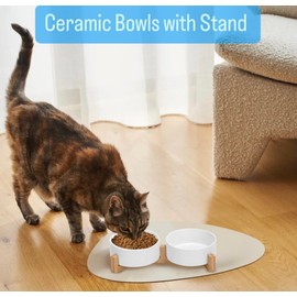 Ceramic Cat and Small Dog Bowl Set – Modern Indoor Small Size Pet Food and Water Bowls with Wood Stand – Non Slip Puppy Sized Feeding Station with Double Dishes