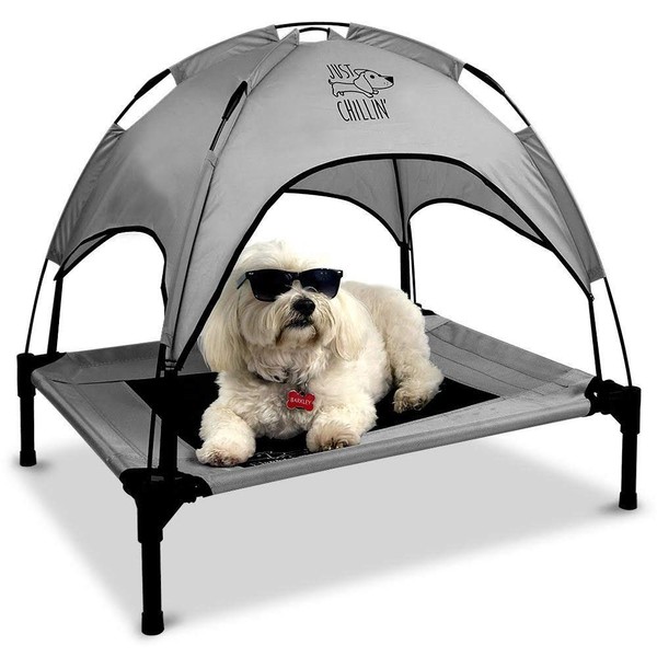 Floppy Dawg Just Chillin' Elevated Dog Bed. Cool Cot with