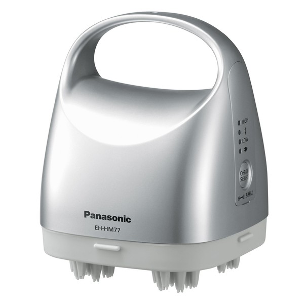 Panasonic scalp Este Sebum Cleaning Type Silver EH – HM77 – Small