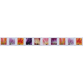 2023 Tulip Blossom Forever First Class Postage Stamp (10 Count Strip) Y