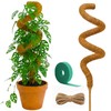 Auraville Moss Pole Monstera Plant Support | 48 Inch Plant