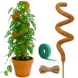 Auraville Moss Pole Monstera Plant Support | 48 Inch Plant Stakes for Indoor Plants | Coconut Palm Fiber Moss Poles for Climbing Plants | Handmade Plant Sticks Support Tall Monstera, Pothos & More