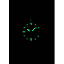 RATIO Free Diver Professional 200M Sapphire Quartz 36JL140 Men's Watch