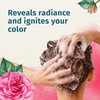 Herbal Essences Ignite My Color Vibrant Color Shampoo with Rose