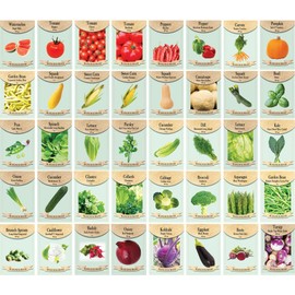 250 Packs Assorted Heirloom Vegetable Seeds 30+ Varieties All Seeds are Heirloom, 100% Non-GMO Thousands of Seeds (250 Vegetable Seed Packets)