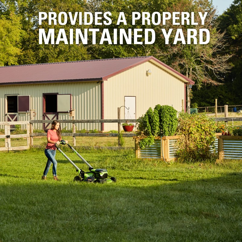 Greenworks Replacement Lawn Mower Blades (Fits : 20' Mower /