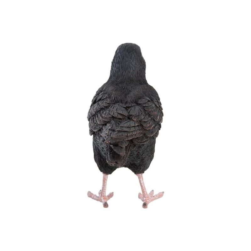 Pflanzen Kölle Iron Blackbird, Black, Approx. 17 x 6 x