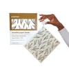Papaya Reusable Paper Towels 2-Pack - 2 Sheets + 1