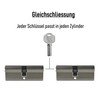 2x Profile Cylinder 100 mm 50/50 Simultaneous Locking Including 10