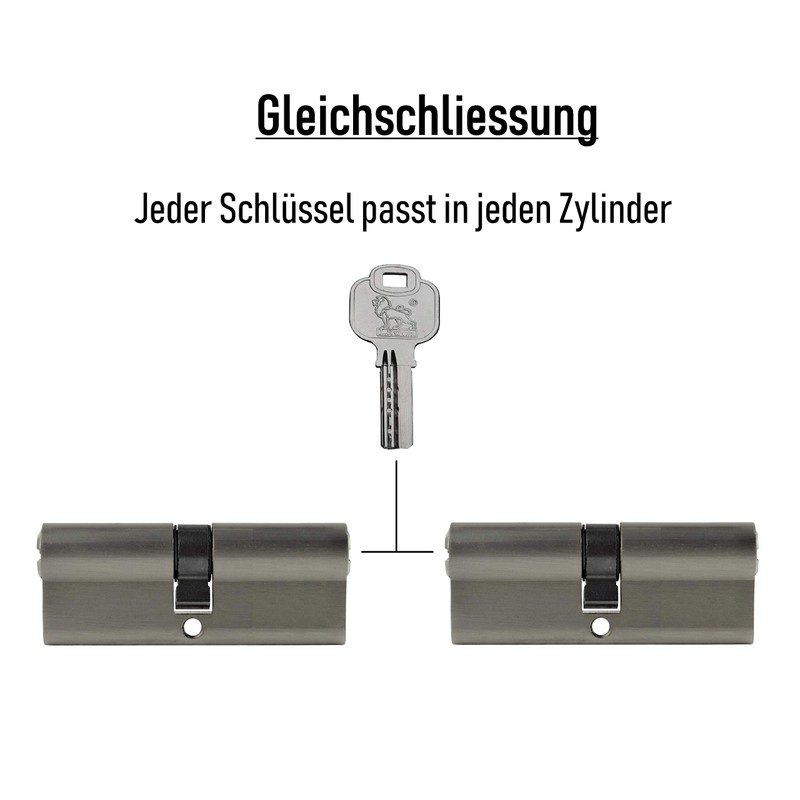 2x Profile Cylinder 100 mm 50/50 Simultaneous Locking Including 10