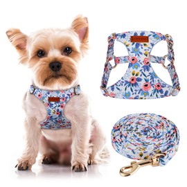 CHEDE No Pull Floral Pattern Dog Harness- Lightweight and Soft Dog Harness, Adjustable Small Dog Harness and Leash Set, with Dog Leash, Suitable for Puppy Small and Medium-Sized Dog (XS, Blue Rose)