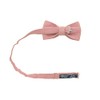 Spring Notion Men's Linen Blend Pre-tied Bow Tie, Desert Coral