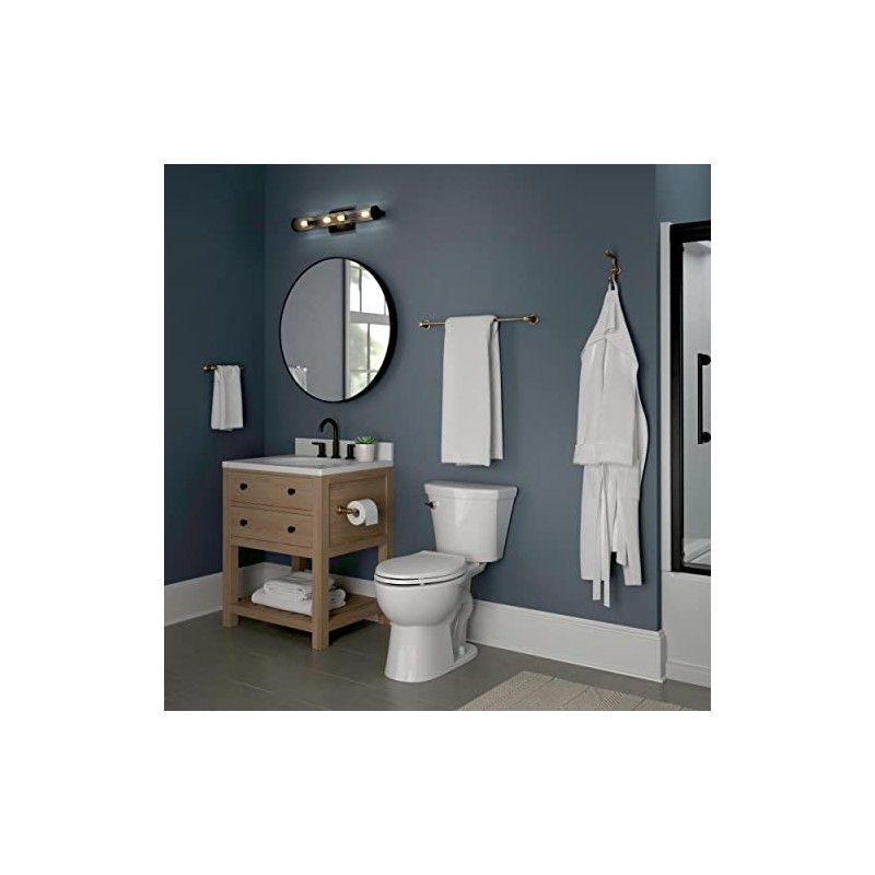 Delta Saylor (1-Pack) 24'' Towel Rack for Bathroom Champagne Bronze