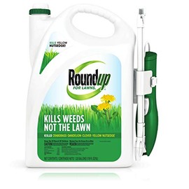 Roundup For Lawns1 Ready to Use - All-in-One Weed Killer for Lawns, Kills Weeds - Not the Lawn, One Solution for Crabgrass, Dandelions, Clover and Nutsedge, 1.33 gal.