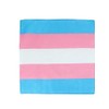 CTM Striped Trans Pride Bandana, Multi-Color