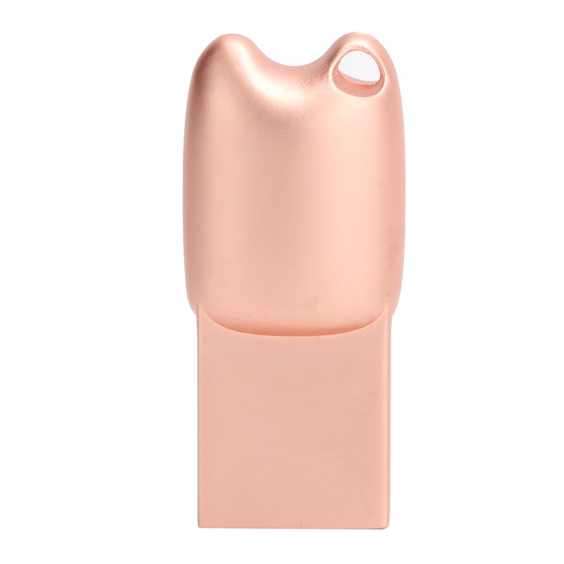 U Disk Portable Data Reading Transmission Device Card Reader Cartoon