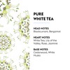 Maison Berger – Reed Diffuser Refill Pure White Tea –