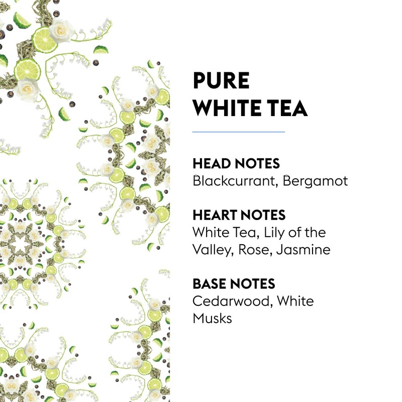 Maison Berger – Reed Diffuser Refill Pure White Tea –