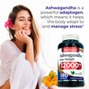FITO MEDIC'S Lab | Ashwagandha | ashwagandha Supplements | ashwagandha