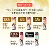 Salon de Pro Gray Hair Concealer Color Touch-up Light Brown