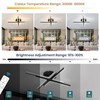 JERANDO Modern LED Ceiling Light Fixture, 21W Sputnik Flush Mount