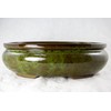 Yubonzai Oval Glazed Bonsai Pot, Cactus & Succulent Planter +