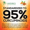 Turmeric Curcumin Supplement 1950mg - 95% Curcuminoids with BioPerine Black