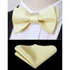 HISDERN Champagne Bow Ties for Men Bow Tie Self Tie
