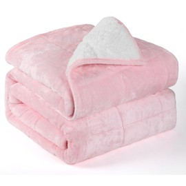 Alomidds Weighted Blanket Queen Size 20lbs 60 x 80 inches,Adult Weighted Blankets with Soft Plush Fleece,Fluffy Thick Warm Sherpa & Cozy Flannel Microfiber Heavy Blanket for Sofa Bed,Pink