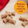 Milk-Bone Original Dog Treats Biscuits for Medium Dogs, 24 Ounce