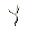Tall Mule Deer Antler Beer Tap Handle for Kegerators Keezers