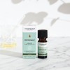 Tisserand Aromatherapy PEPPERMINT Organic, 9ml