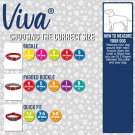 Ancol Viva Lightweight Weatherproof Black Buckle Collar Pet Training Accessory 20-26cm, Size 1