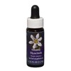 FES Flower Essences Range Of Light Quintessentials 7.5ml G to