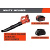 Blütezeit Cordless Leaf Blower Electric 4.0Ah Battery Power for Lawn