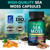 KangRiXin Sea Moss Capsules with Black Seed Oil, Ashwagandha for