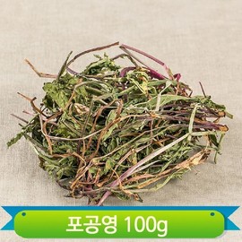 국내산 말린 민들레 100g 건조 포공영 차가운성질 약재 요리 다용도 Domestic Dried Dandelion 100g Dry Herbal Cold Nature Multi-purpose Cooking