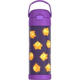 THERMOS FUNTAINER 16 Ounce Stainless Steel Bottle, Wish
