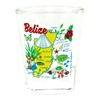 Belize Map Clear Shot Glass