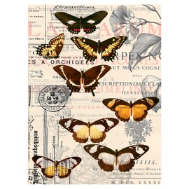 Pintoo Jigsaw Puzzles 300 Piece for Adults - Butterfly Pattern Easy Storage Snug Interlocking Plastic Puzzle No Glue Required [H1584]