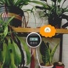 Black Timer Indoor Automatic Watering Device System Automatic Irrigation Waterer