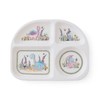 Mini Meirion Divided Plate, Pink, Blue