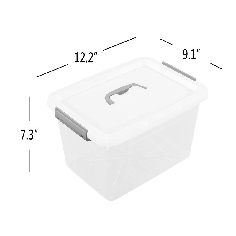 Callyne 10 L Clear Plastic Storage Box, 6-Pack Storage Latch