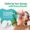 Shower Steamers Aromatherapy - Eucalyptus & Mint - 15 Pack