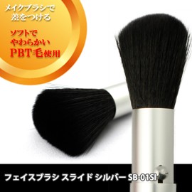 Shishida Seishindo Face Brush, Slide, Silver