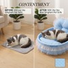 Plush Cat Bed for Indoor Lounging – Soft Oval Pet