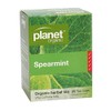 Planet Organic Spearmint 25 Tea Bags